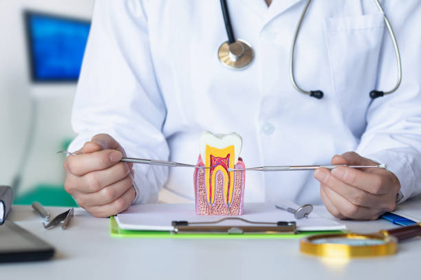 Best Emergency Root Canal Treatment in Westover, AL